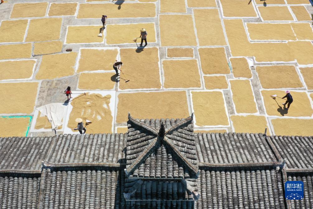 富狗棋牌官网